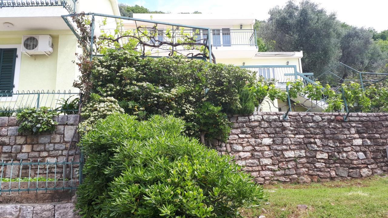 Apartments Simo Petrovac Eksteriør billede